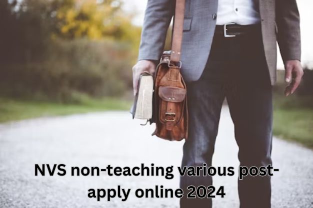 NVS non-teaching