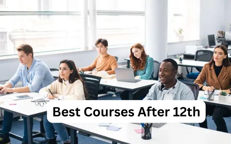 best courses after 12th